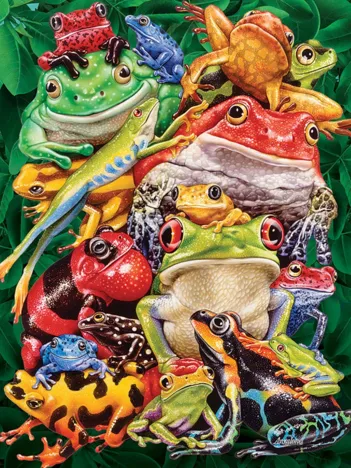 Produit Frog Business Image