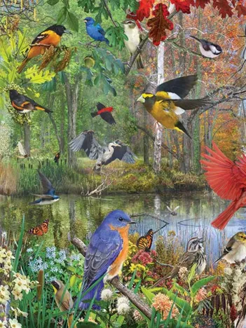 Produit Birds of the Season Image