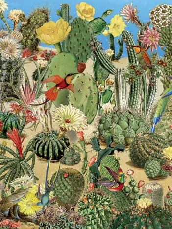 Produit Cactus Garden Image