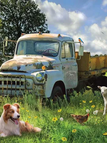 Produit Sheep Field Image