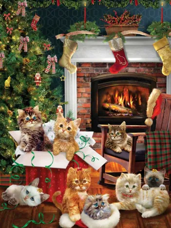 Produit Christmas Kittens Image