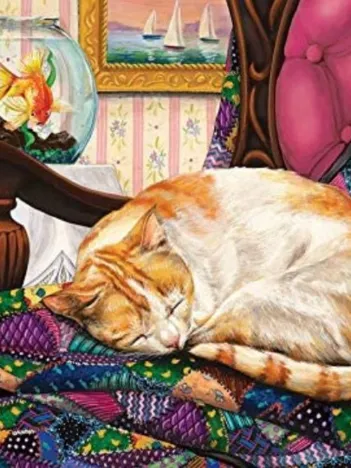 Produit Sweet Dreams Image