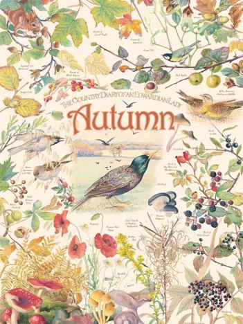 Produit Country Diary - Automne Image