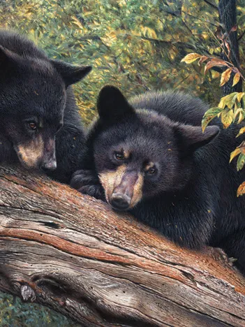 Produit Mom's Awaiting Image