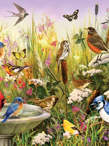 Produit Amis à Plumes Image