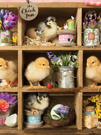 Produit L'Auberge des Poussins Image