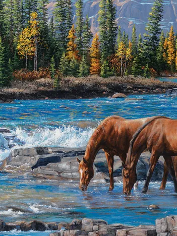 Produit Sur les Rochers Image