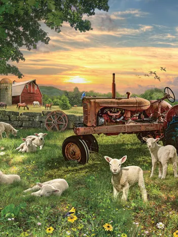 Produit Champ au Lever du Soleil Image