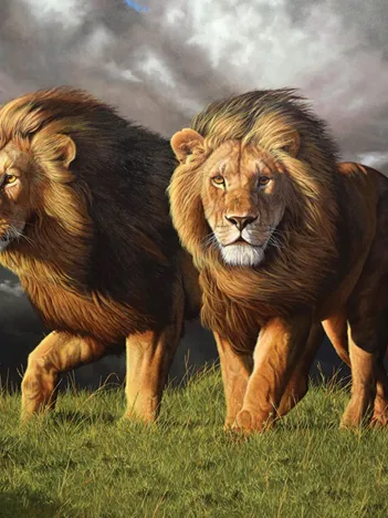 Produit Tempête Imminente Image