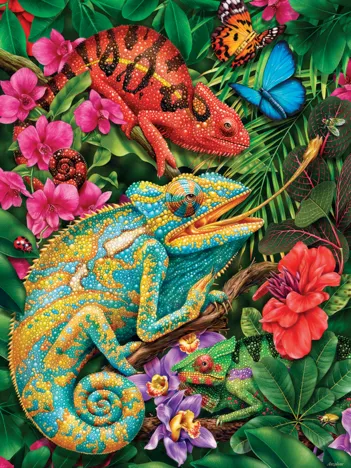 Produit Caméléon du Karma Image