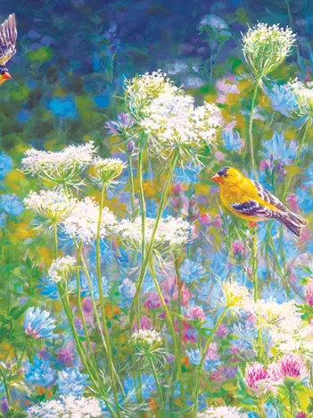 Produit Visite de la Prairie Image