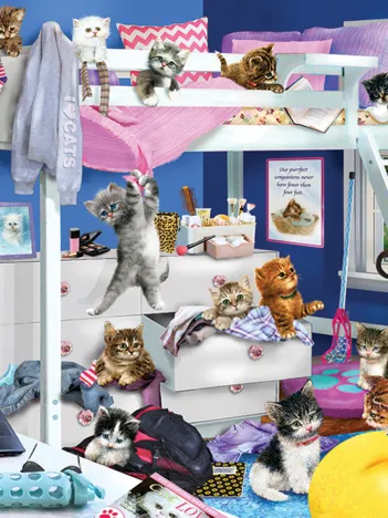 Produit Soirée Pyjama pour Chatons Image