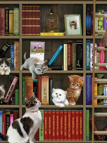 Produit Chatons de Bibliothèque Image