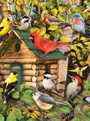 Produit Cabane d'Oiseaux Image