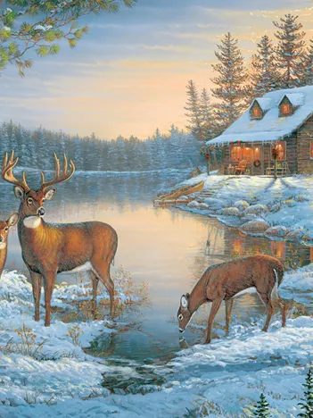 Produit Un Endroit Calme Image