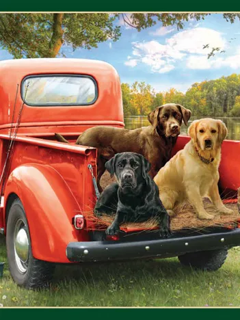 Produit Amis de la Pêche Image