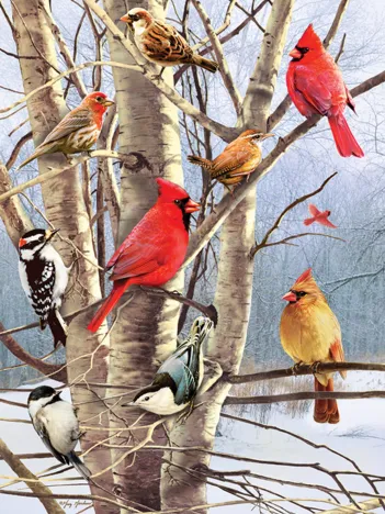 Produit Oiseaux d'Hiver Image