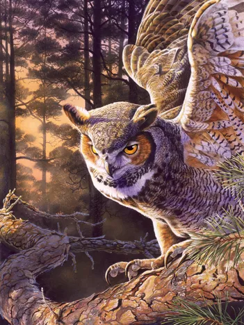 Produit Chasseur le Soir Image