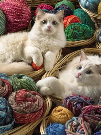 Produit Poupées de chiffon - Random Cut Image