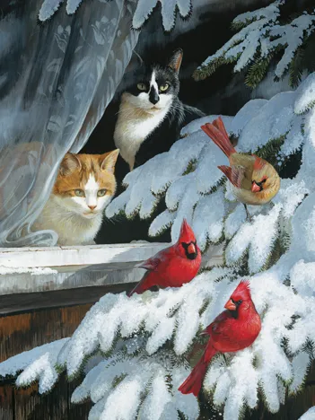 Produit Ornithologues Amateurs - Random Cut Image