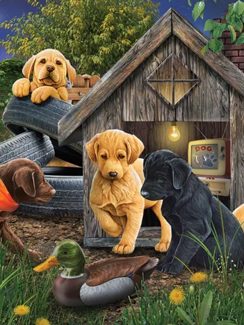 Produit Dans la Niche - Random Cut Image