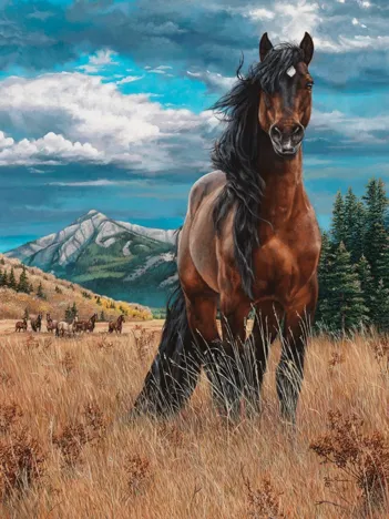 Produit Kim Penner - Freedom Image