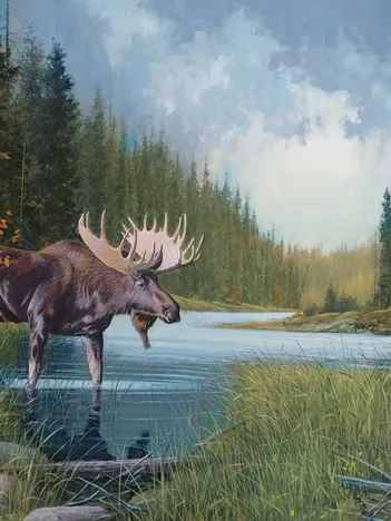 Produit Moose Lake Image