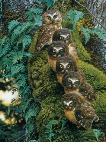 Produit Family Tree Image