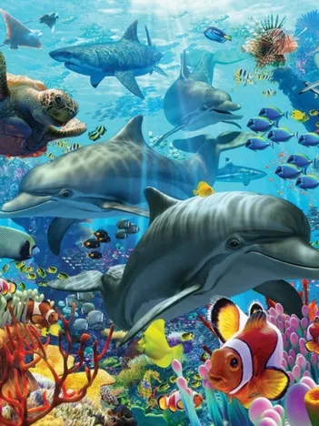 Produit Coral Sea Image