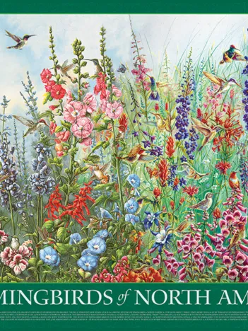 Produit Colibris d'Amérique du Nord Image