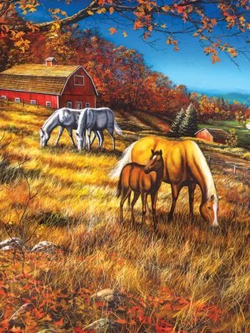 Produit Rassemblement à Hillside Image