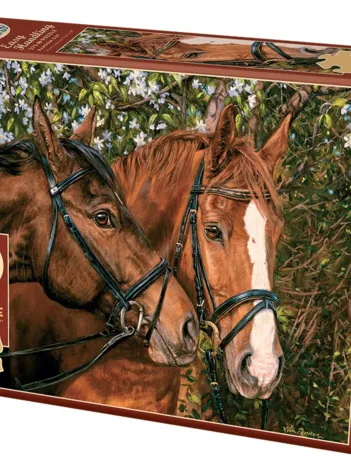 Produit Pièces XXL - Friends Forever Image