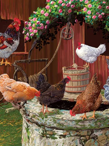 Produit Pièces XXL - The Chickens are Well Image