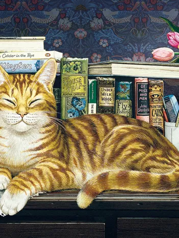 Produit Pièces XXL - Marmaduke Image