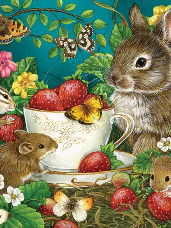 Produit Baies Sucrées Image