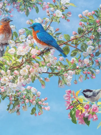 Produit Festival des Fleurs Image