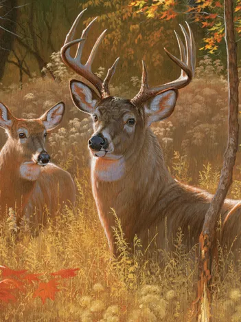 Produit Rendezvous Secret Image