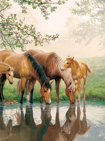 Produit Pièces XXL - Horse Family Image