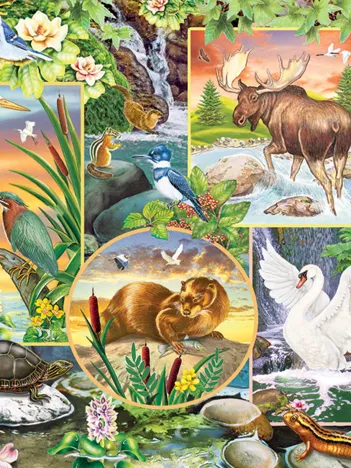 Produit River Magic Image