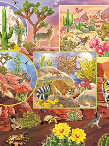 Produit Desert Magic Image