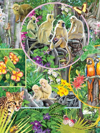 Produit Magie de la Forêt Tropicale Image