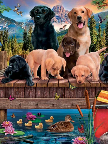 Produit Chiens et Canards (Famille) Image