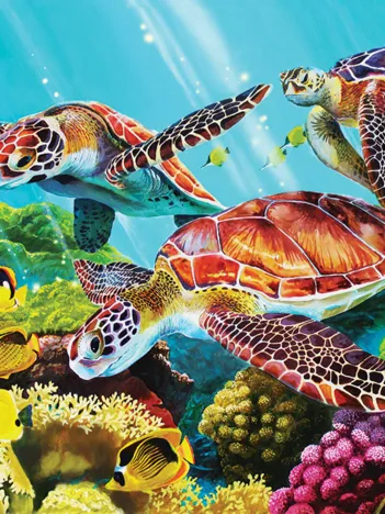 Produit Pièces XXL - Molokini Current Image