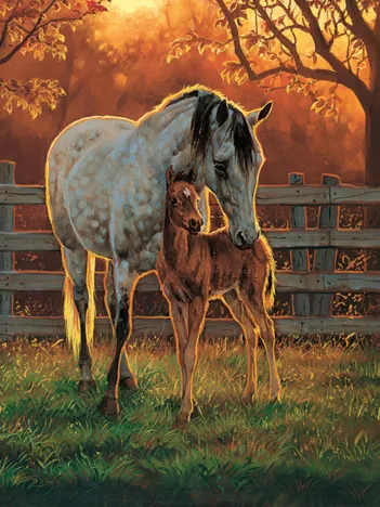 Produit Pièces XXL - Temps Calme Image