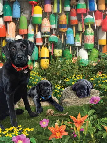 Produit Pièces XXL - Good Boys Image