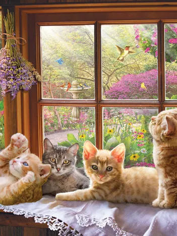 Produit Rayon de Soleil Image