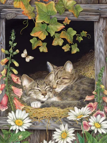 Produit Soeurs Image