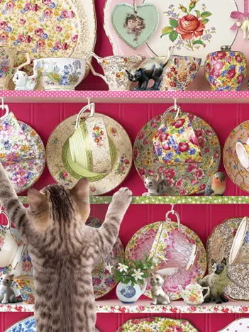 Produit Chaton Chasseur Image