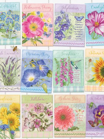 Produit Sachets de Graines Image