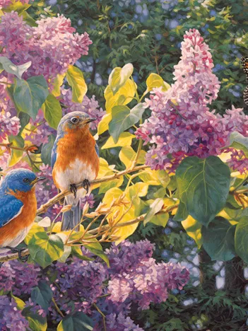 Produit Intermède de Printemps Image